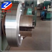 C97300~